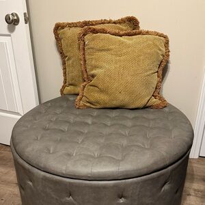 2 18x18 inch pillows.